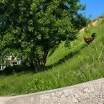 Hotel Keshtjella Xhabeqos 4*